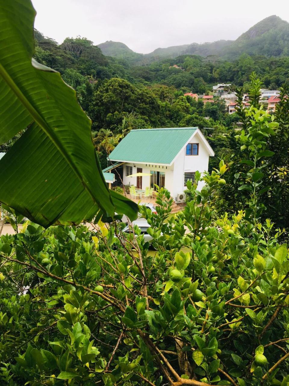 Loversnest Self Catering Anse aux Pins Buitenkant foto